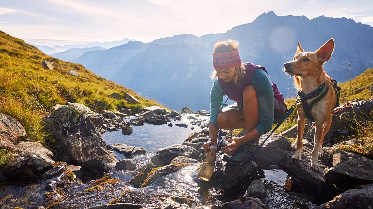 Alpine Crossing: Munich - Verona: Crossing the Alps with your dog