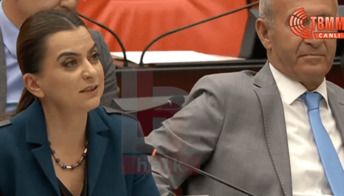 Il microfono di Koçyiğit del partito DEM è stato spento quando ha parlato in curdo alla Grande Assemblea Nazionale turca: "Che sia registrato"