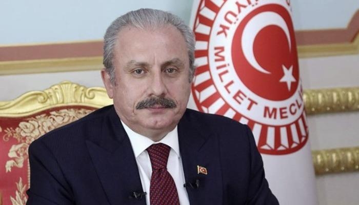 Mustafa Şentop'tan sert tepki: 'Gazeteci diye ortada dolaşıyorlar'