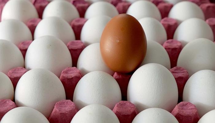 Alerta de epidemia emitido: ovo envenenou 95 pessoas! Alarme emitido naquela região...