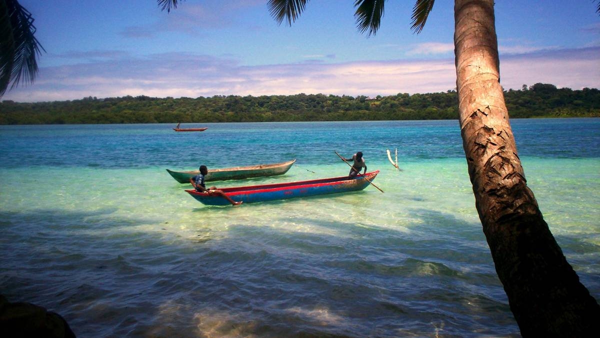 Dodelijke vergiftiging op feest in Madagaskar eist 20 levens