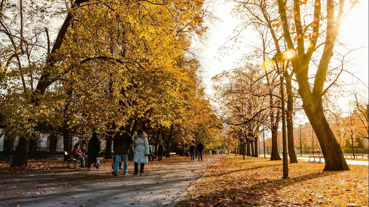 ¿En qué zonas de Polonia se gana más en 2025? Lista de ciudades