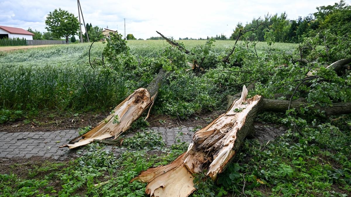 Tempestades em todo o país. Menino de 11 anos fica ferido