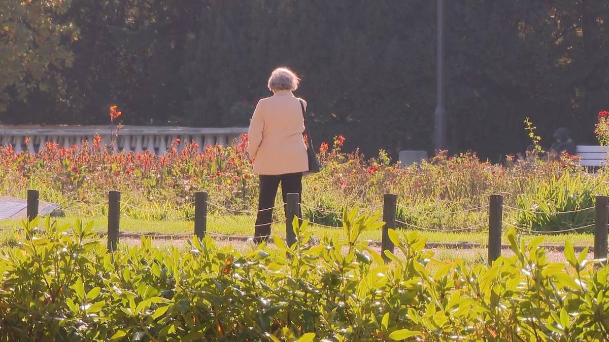 No todos los mayores lo saben. Beneficios sorprendentes después de los 60 que te ayudarán a equilibrar tu presupuesto