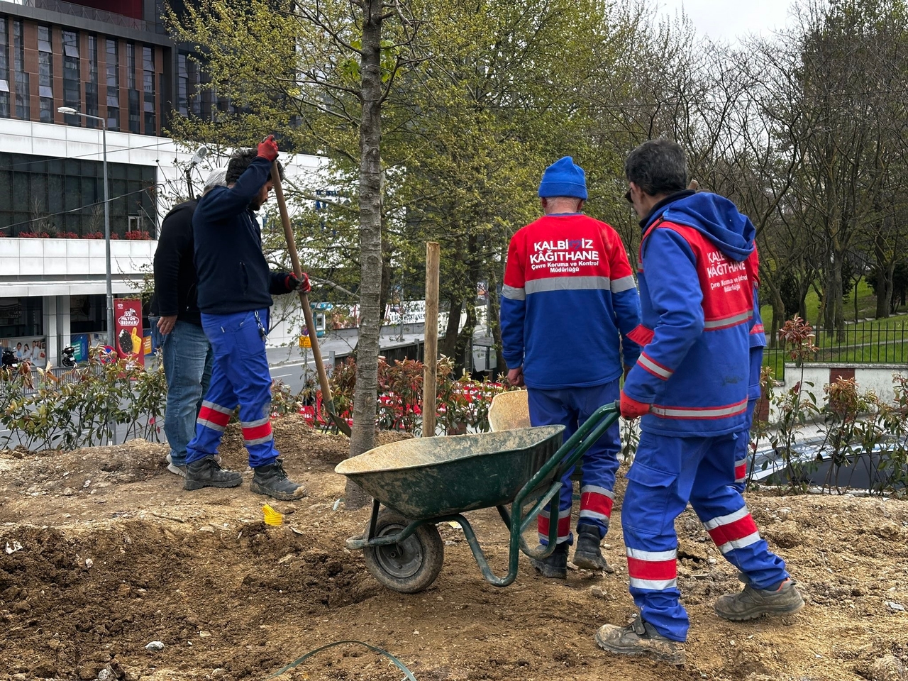 Se realizaron trabajos de mantenimiento en áreas verdes en Kağıthane