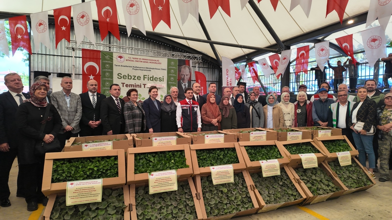 Silivri'de üreticiye 614 bin fide ve 4 ton tohum desteği