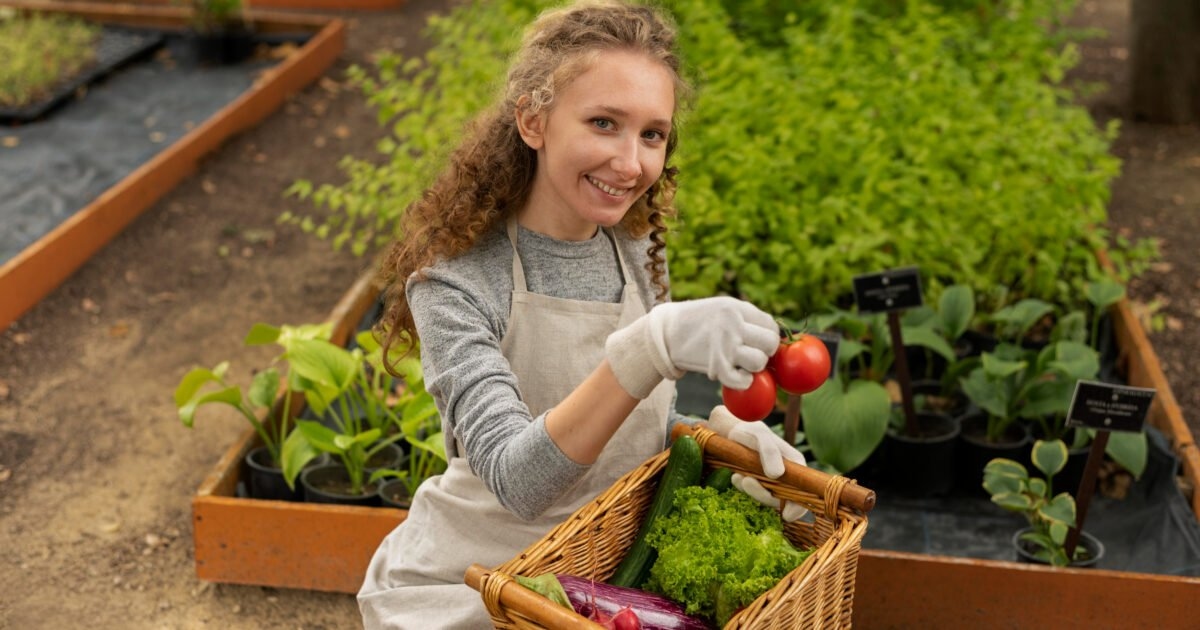 Hoe je thuis een moestuin aanlegt