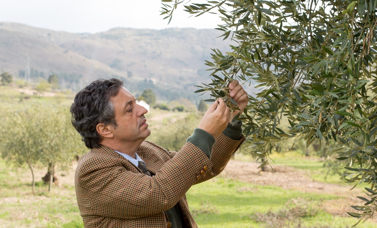 Interview: Tiago Mendonça – owner of ETHOS olive oil