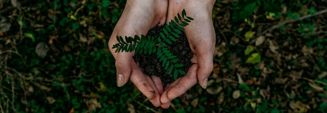 CCDR Algarve reforça compromisso com biodiversidade e sustentabilidade no Dia Mundial do Ambiente
