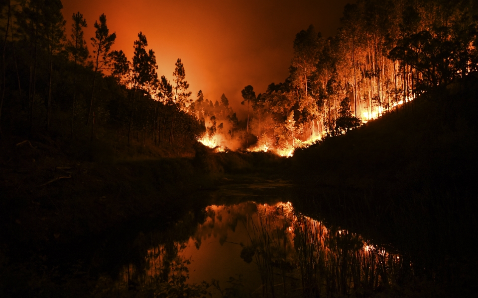 Calor extremo e incendios. Portugal en alerta hasta el jueves.