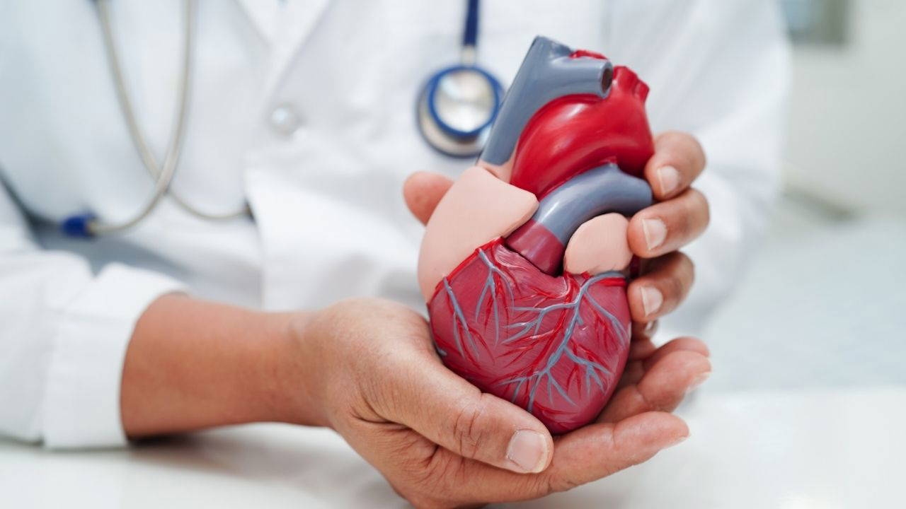 Desarrollan nuevos métodos para "iniciar" corazones sin un donante