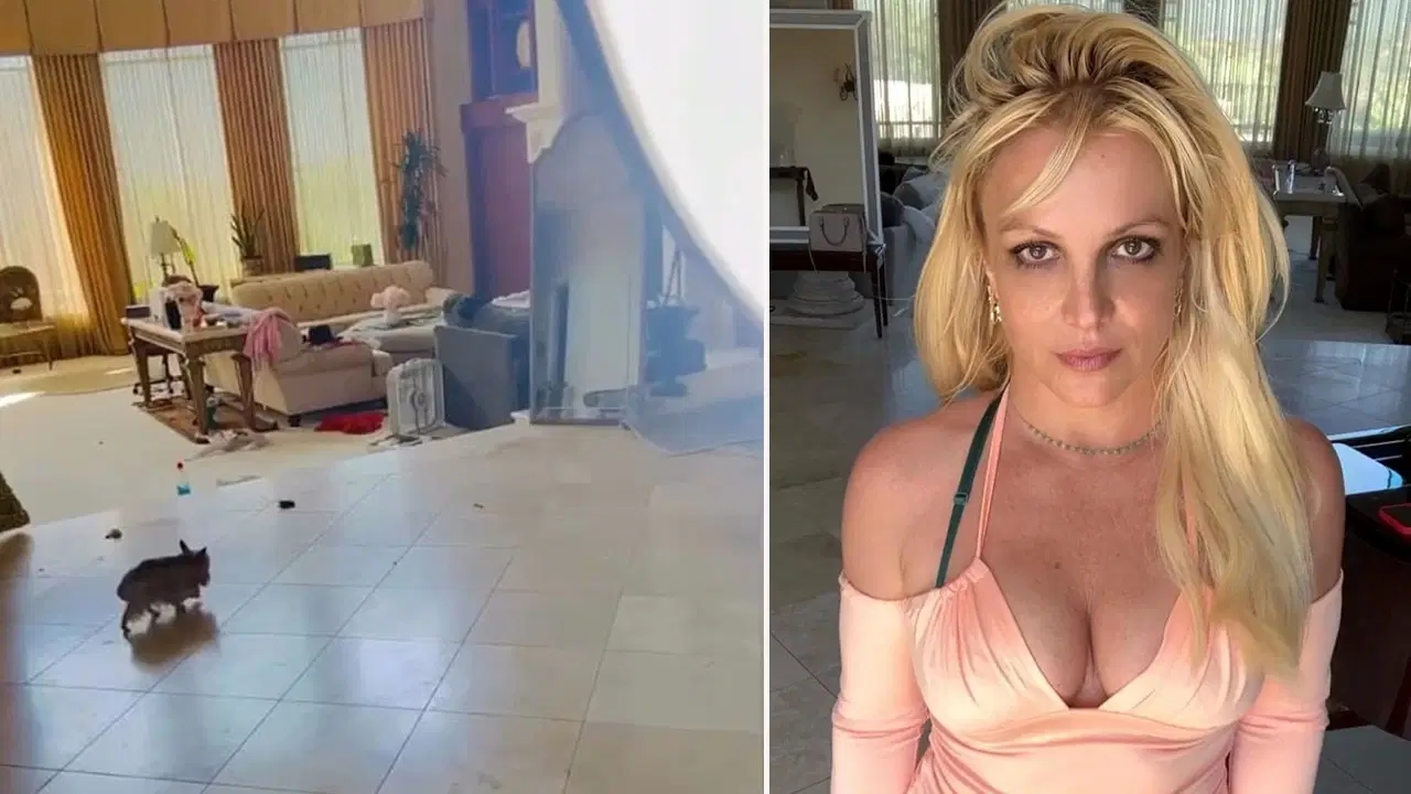 La mundialmente famosa cantante Britney Spears preocupó a sus fans: ¡Su casa está llena de heces de perro!
