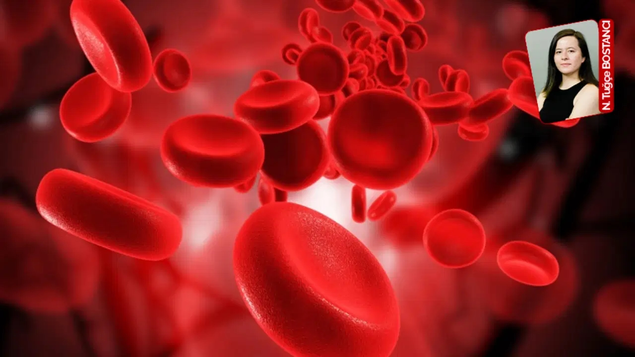 Die unsichtbare Krise im öffentlichen Gesundheitswesen: „Eisenmangelanämie ist immer noch das häufigste Problem“