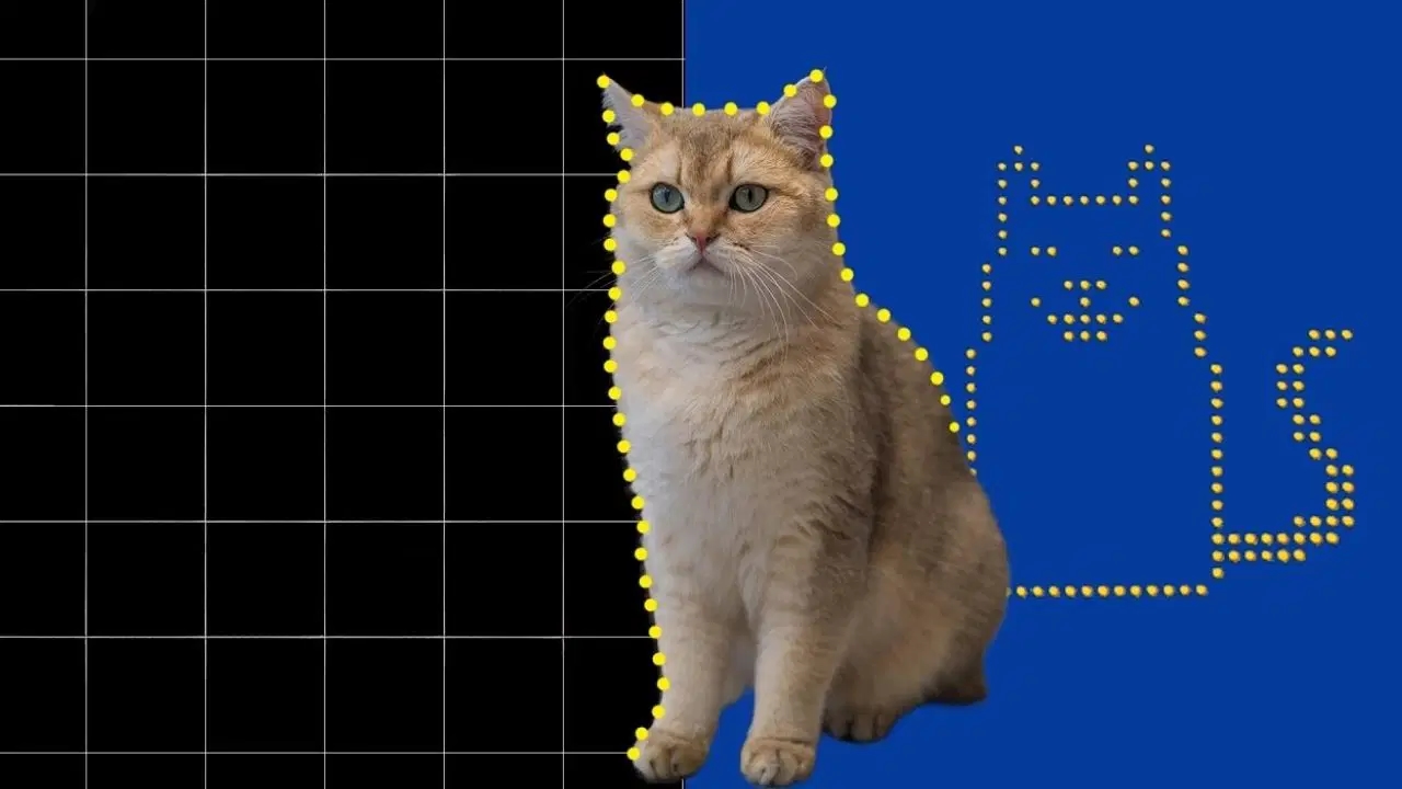 È stato creato il video del gatto più piccolo del mondo
