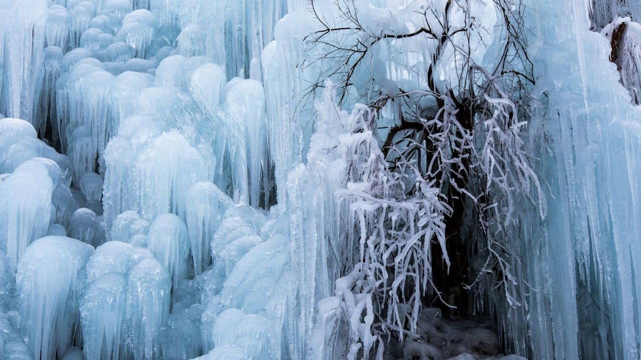 İnsanların hayatta kalabildiği en düşük vücut sıcaklıkları nedir?