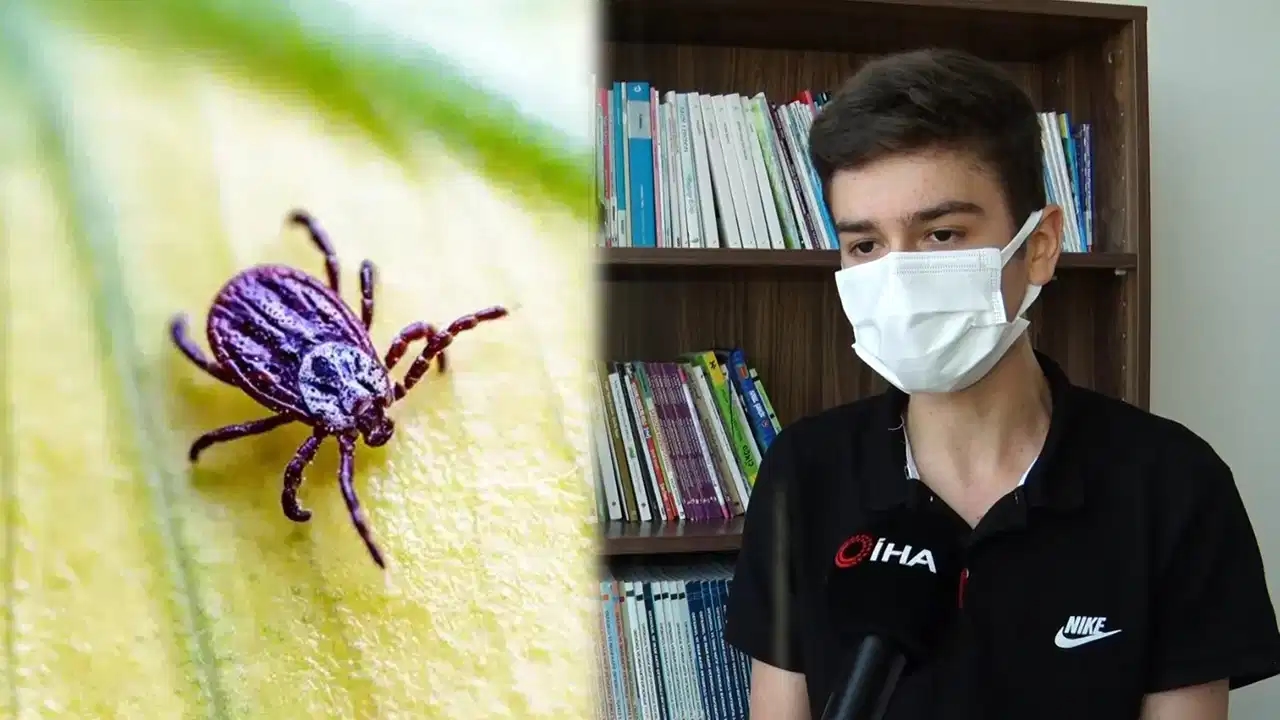 Er entfernte die Zecke mit bloßen Händen: Er erlebte seinen Albtraum!