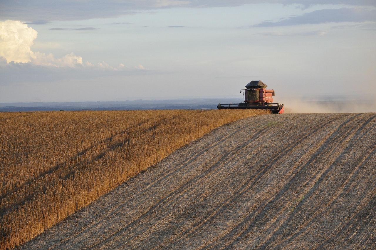 Agricultura en el fuego cruzado: la guerra entre Israel e Irán afecta la producción brasileña