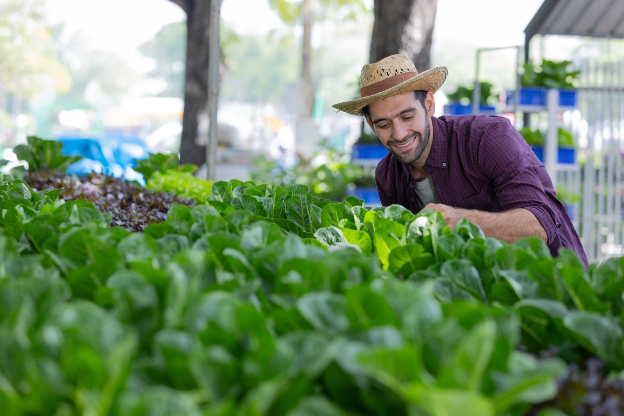 Innovative Organic Agriculture Business Ideas for Sustainable Entrepreneurs