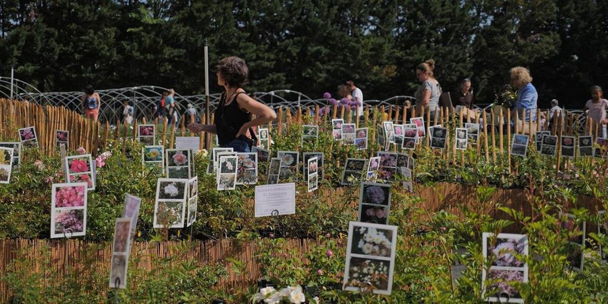 Nadir ve az bilinen bitkiler: meraklılar Bergerac'taki Printanières'te buluşuyor