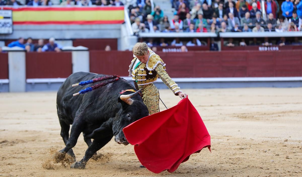Landes: o cartel de Tyrosse e a dor nas costelas de Clemente em nossos ecos taurinos