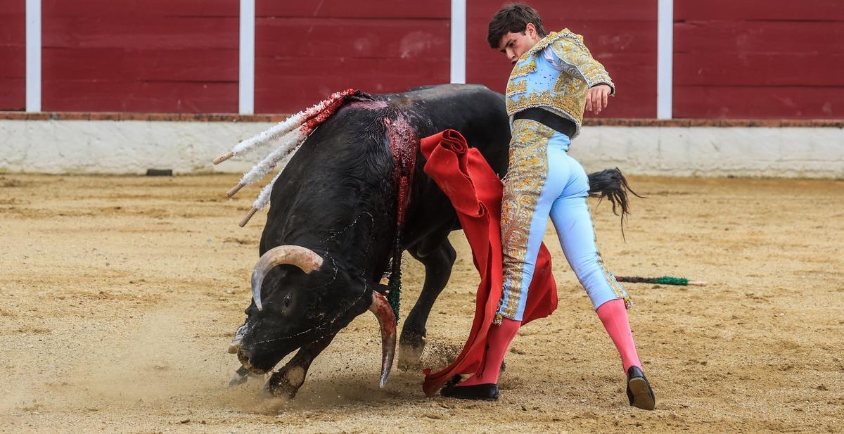 Feria de Dax 2025: Aaron Palacio, como um galo de briga
