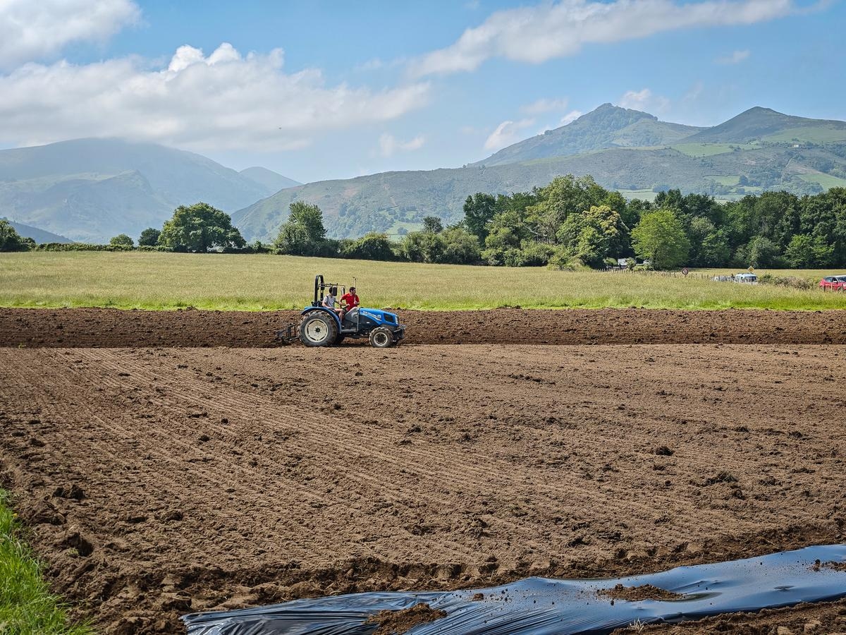 Basque Country: Opposition calls for moratorium on Cambo's real estate projects