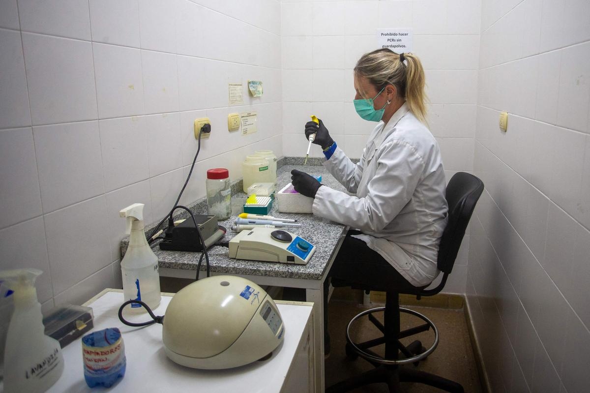 DIRECT. Hantavirus : pas de symptômes chez les 22 cas contacts français, l’OMS confirme huit cas au virus des Andes... Suivez les dernières infos