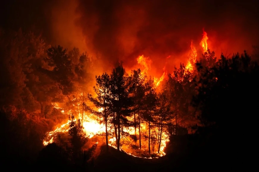 ¿Dónde se encuentra Turquía en la lucha contra los incendios forestales? | El Prof. Dr. Murat Türkeş evaluó