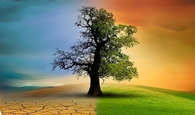 La Ley del Clima fue aprobada en el Parlamento, los expertos dijeron que es una “ley de cambio climático”