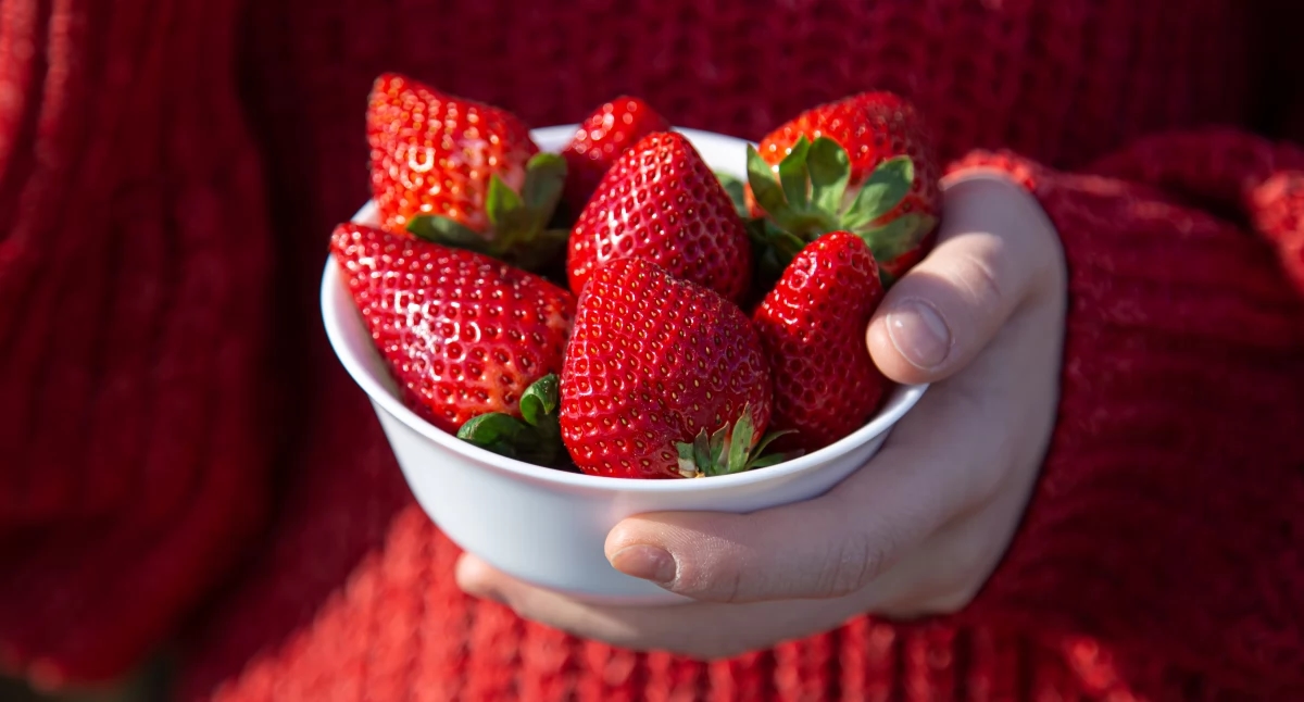 Het Aardbeienfestival komt eraan