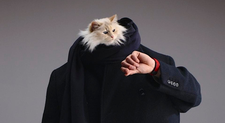 Hublot ha assunto il gatto di Lagerfeld. Choupette dagli occhi azzurri con un Big Bang giubilare e... un bicchiere di latte