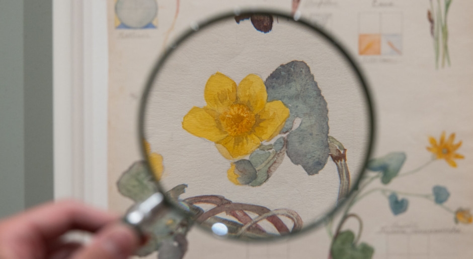 The Spirit of Plants Hidden in Watercolor: Hilma af Klint's Exclusive Exhibition at MoMA in New York