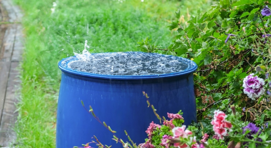 A los propietarios les encanta la lluvia. Recibirán 6 mil. zloty