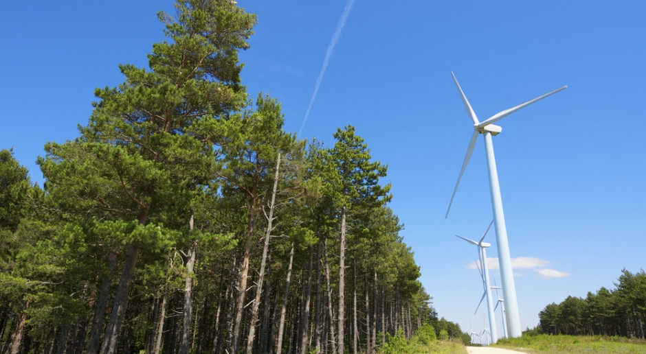 Money for the neighborhood with windmills. Thanks to this idea, investments can get off to a flying start [VIDEO]