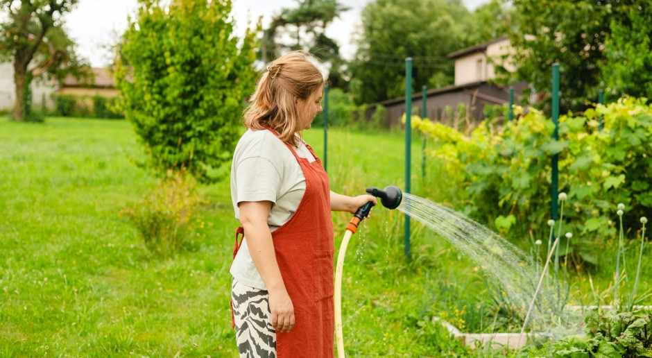 Het is verboden om tuinen en gazons te besproeien. De reserves raken snel uitgeput en er kan een watertekort ontstaan.