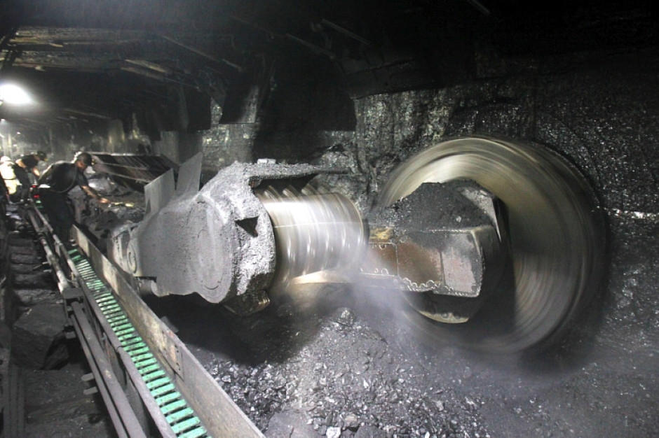 Natural deaths in mining plants. WUG indicated the main causes