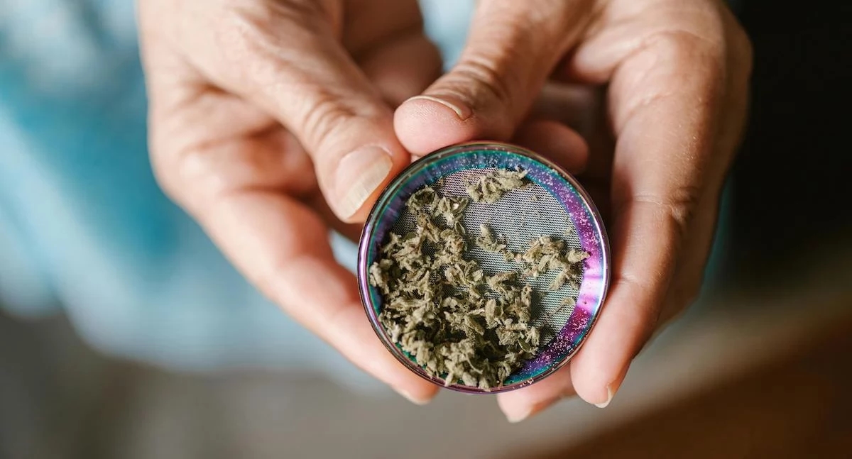 Oltre 10.000 studi analizzati. Gli esperti: la marijuana funziona davvero nella cura del cancro