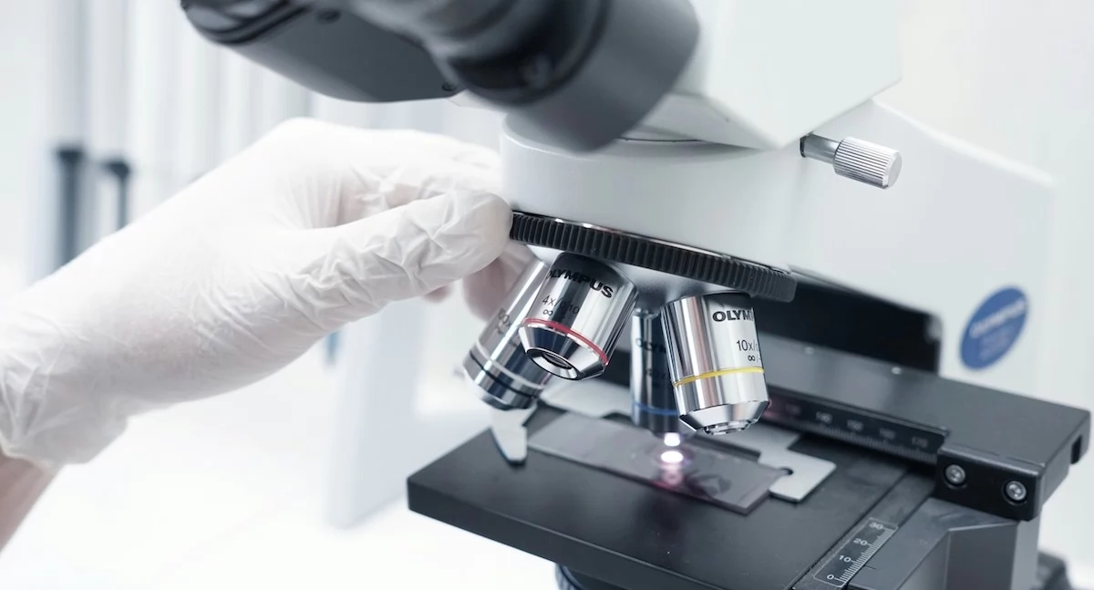 Breakthrough in Diabetes Research: Gut Bacteria as Natural Ozempic?