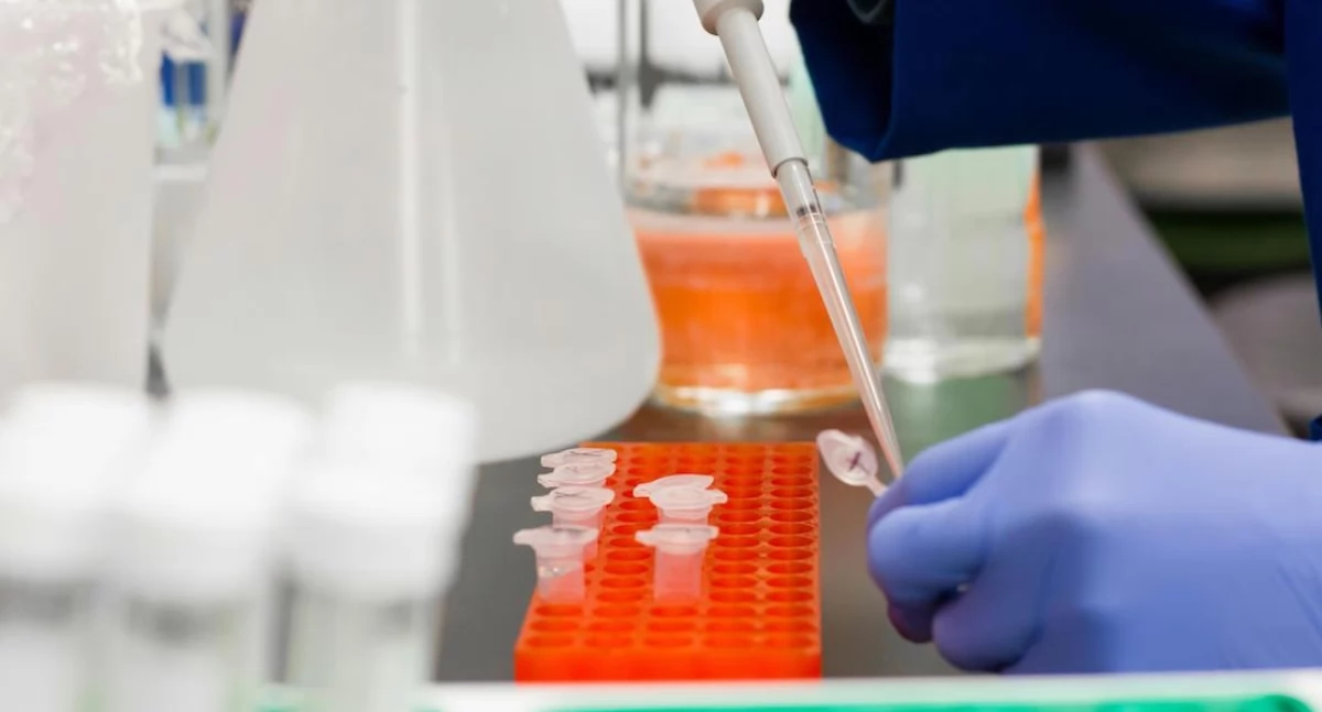 The COVID-19 wave is accelerating. Poland will receive one million doses of free Moderna.