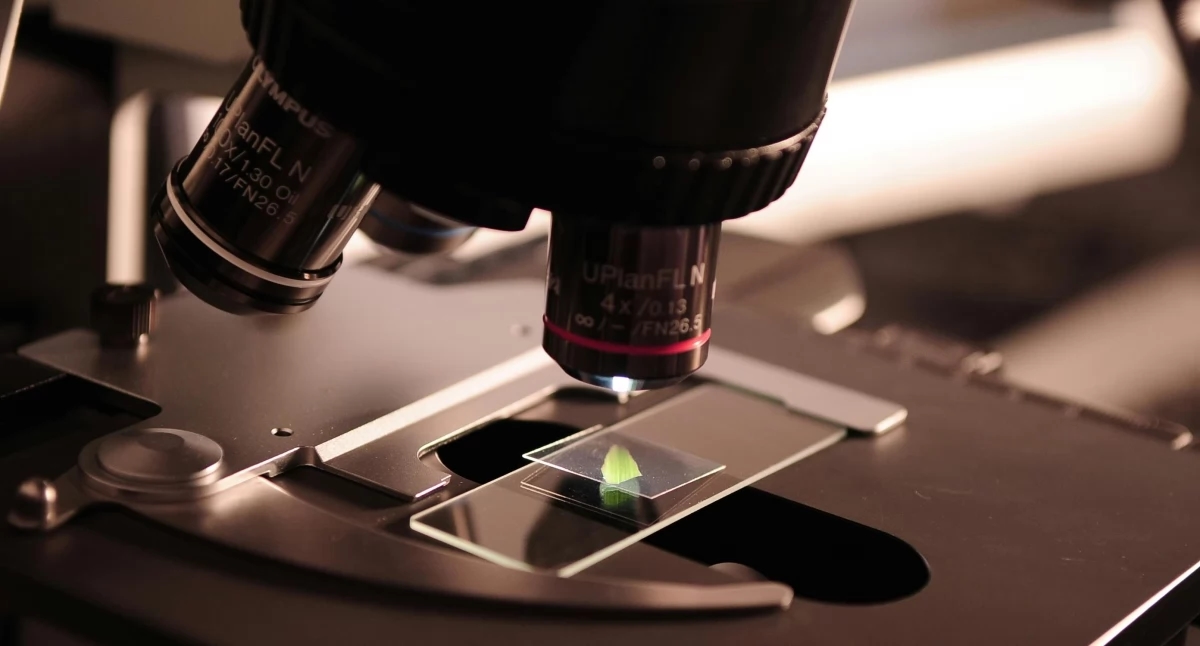 Groundbreaking immuno-PET study in Gliwice: new possibilities for cancer treatment