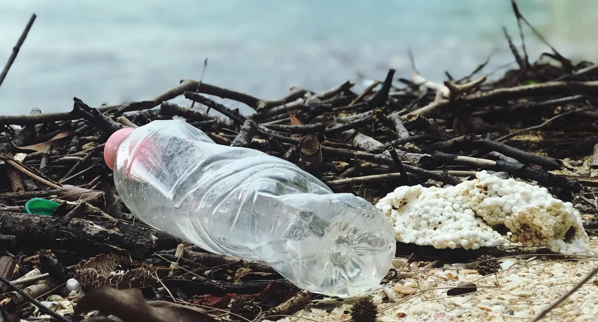 Leki na raka ze starych plastikowych butelek. Naukowy przełom w recyklingu?