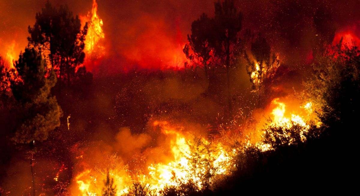 Éteindre un hectare de forêt en feu coûte 30 000 euros contre 3 000 euros pour un investissement dans la prévention.