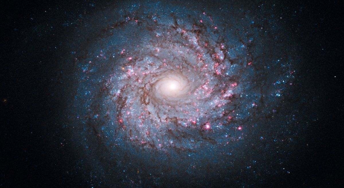Uma reviravolta inesperada: cientistas espanhóis propõem uma nova teoria controversa sobre a origem do universo.