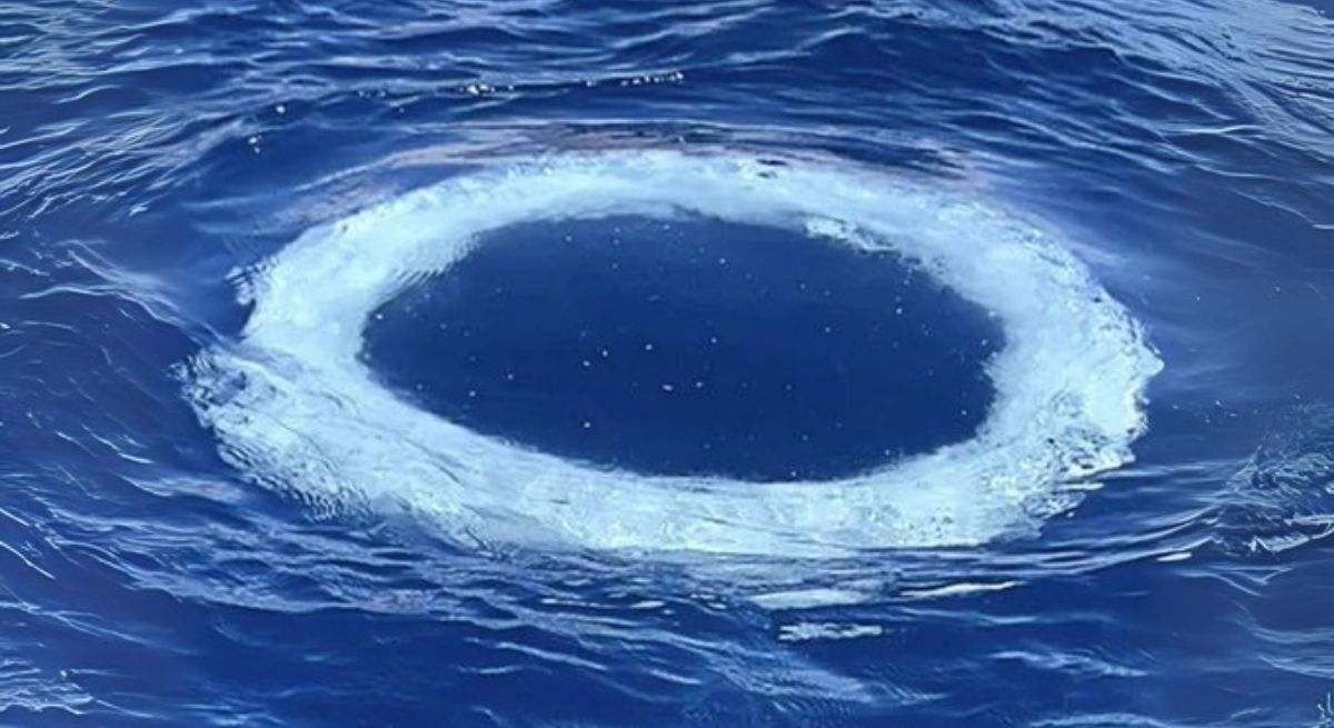 Decine di anelli compaiono nel mare e la scienza si esprime: potrebbero essere messaggi provenienti da "un'altra intelligenza".