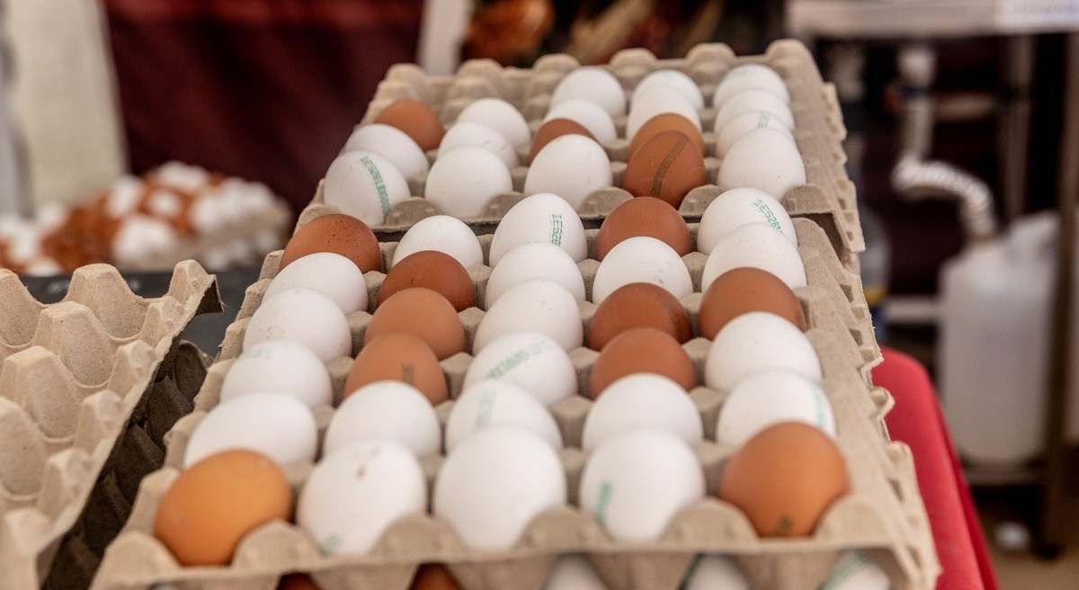 Die Preise für Kaffee, Eier und Rindfleisch steigen rasant um mehr als 10 %.