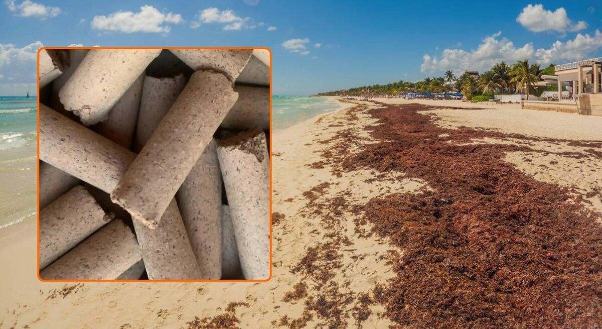 El innovador ladrillo de algas marinas: más ligero, ecológico y con el potencial de cambiar la construcción para siempre