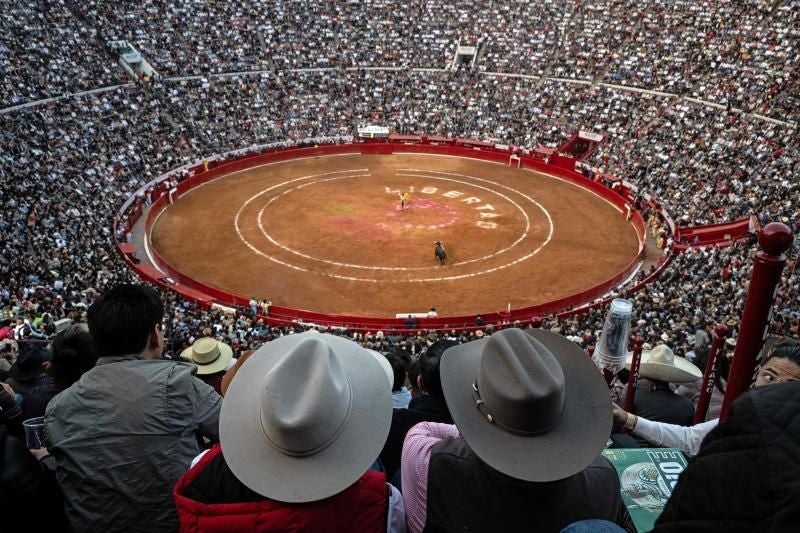 Plaza México suspende touradas devido a nova legislação: "O espetáculo é inviável sem violência."