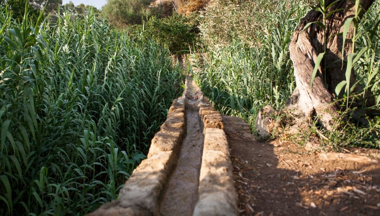 Giardino della Kolymbethra ad Agrigento: angolo di paradiso