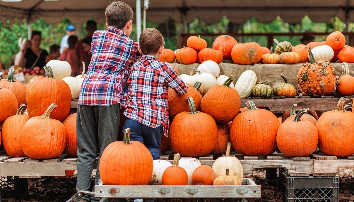 Champs de citrouilles et couleurs d'automne : une carte des lieux à visiter en Italie