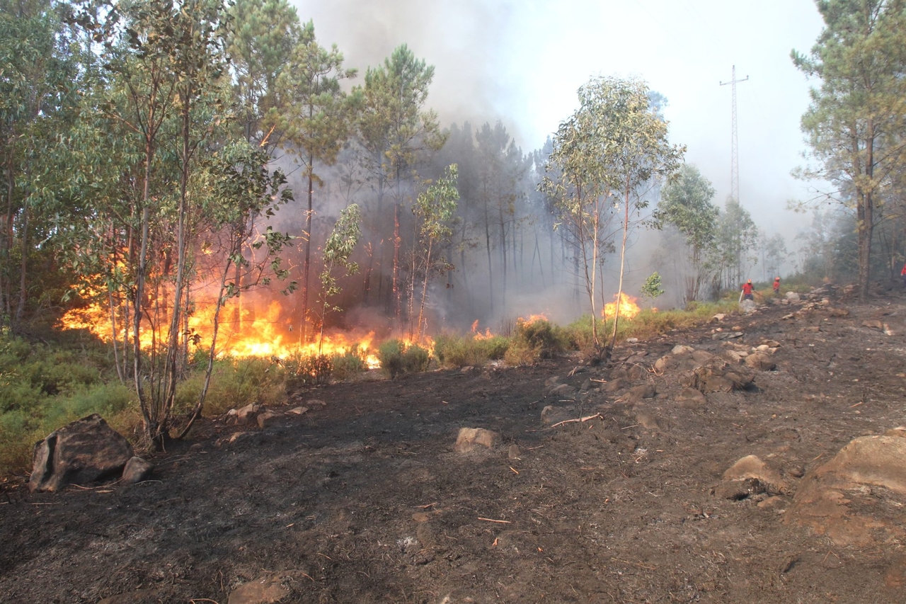 Novo reforço do dispositivo de combate a incêndios